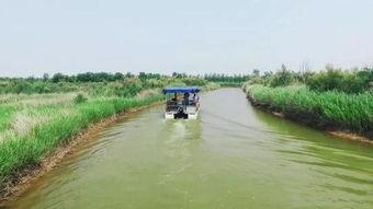 湿地高清在线视频观看,高清视频带你领略自然之美