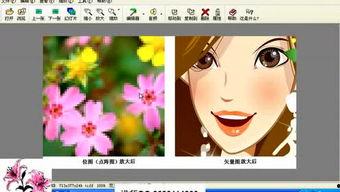 刘老师先锋在线视频,揭秘教育创新之道