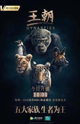 bbc王朝在线视频1,揭秘英国王室权力变迁的幕后故事