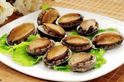 鲍鱼线在线视频