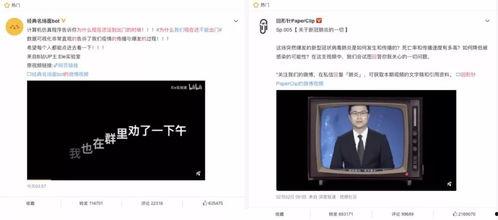 龚荫菲在线视频,揭秘成功人士的智慧与成长之路